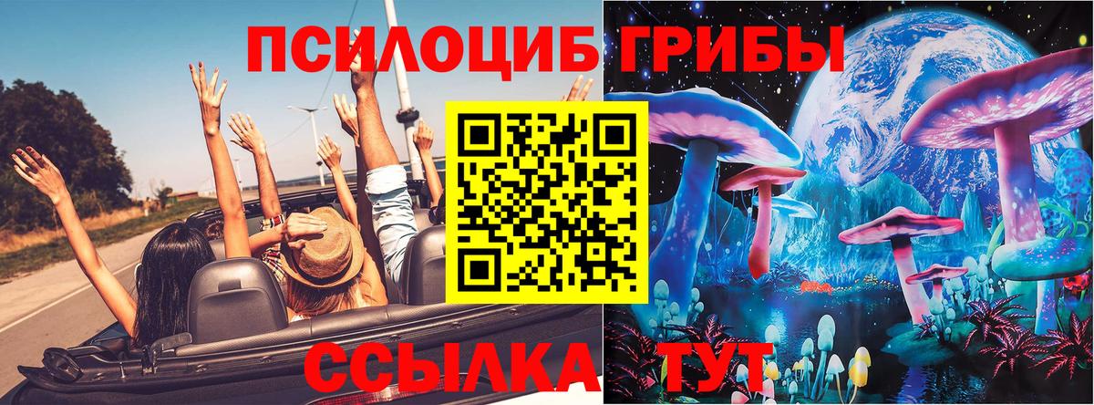 Звенигород  Галлюциногенные грибы Psilocybine cubensis  где купить наркотик  Вход с VPN 