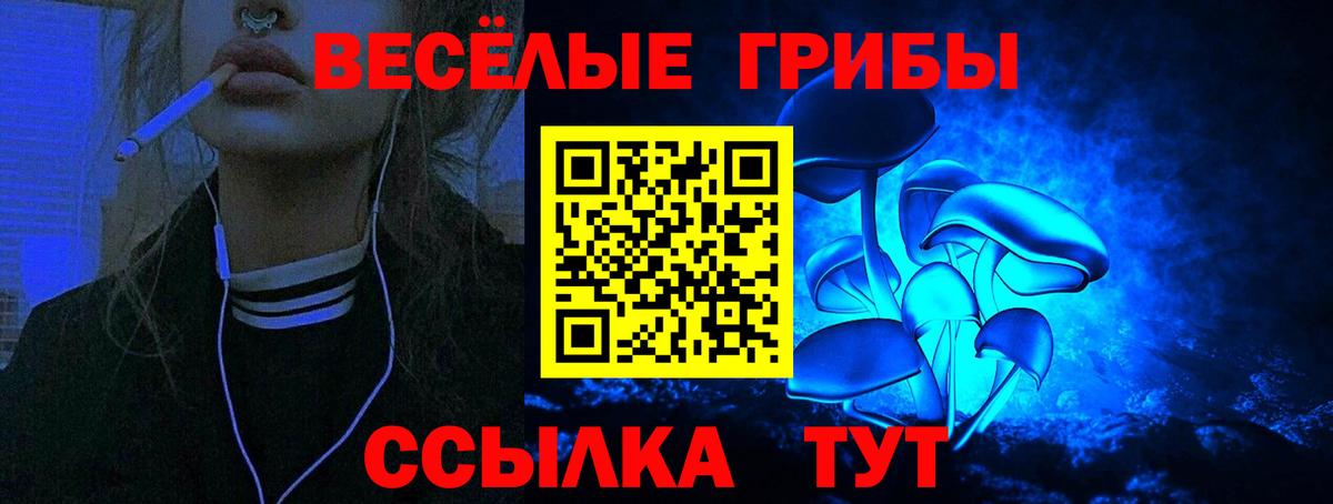 Псилоцибиновые грибы MAGIC MUSHROOMS Звенигород
